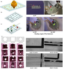 理化所開發液態金屬懸浮3D打印方法，開創柔性可拉伸電子器件制造新路徑